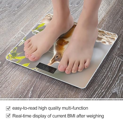 Squirrel Funny Animal Bathroom Scale Digital Weight Scale Precision 400 Lbs Weighing Scales Large with LCD Backlight Display BMI Measures