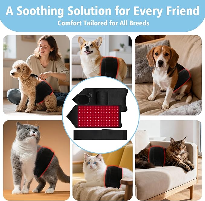PetWell Comfort Belt: 120 LED Dog &amp Cat Red Light Therapy Belt - Portable Infrared Light Wrap for Back Hips Knees | Soothing Mat Pad Device for Arthritis &amp Pain Relief in Pets
