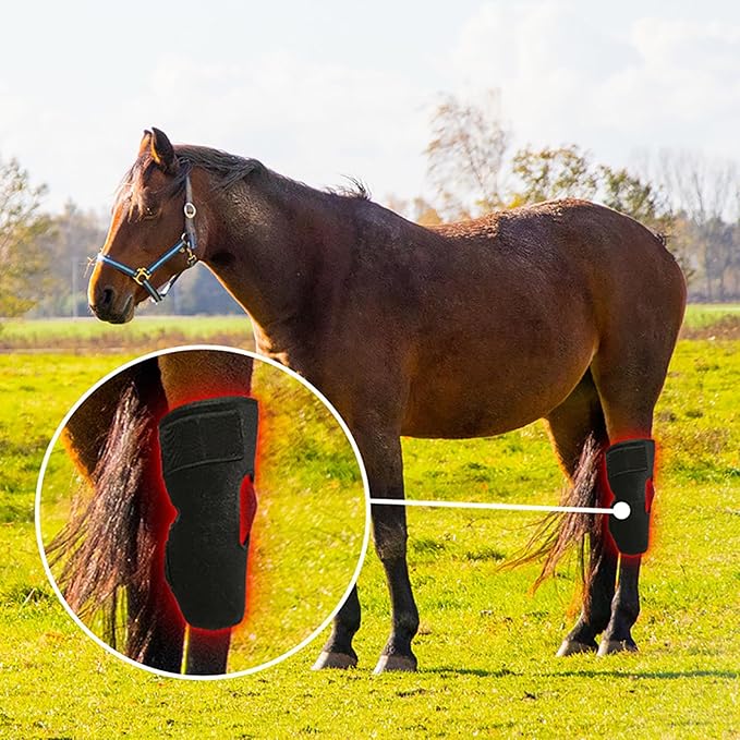 Red Light Therapy Belt for Horses Near Infrared Light 660nm/850nm Adjustable Modes Portable Deep Light Therapy for Equine Joint and Muscle Recovery