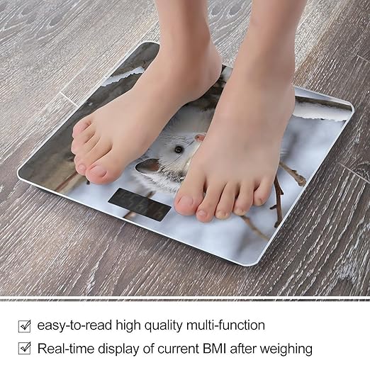 Opossum in Snow Bathroom Scale Rounded Smart Scale for Body Weight Automatic Power On/Off Weight Scales Accurate Bathroom Digital Scales for Pet Home Bedroom Kitchen