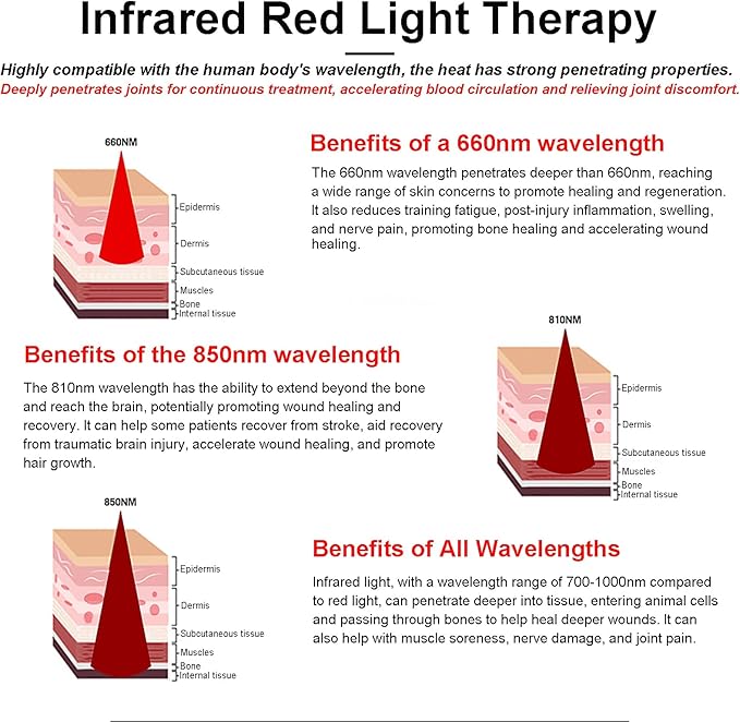 660nm 850nm Red Infrared Therap Belt Portable Deep Red Light Therapy Wearable Horses Infrared Light Therapy Device 6 Levels of Light Intensity Adjustment 50 * 100cm