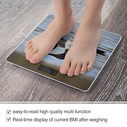 Digital Bathroom Scale for Body Weight Scale with Bright LCD Display High Accuracy Step-On Technology Auto On/Off Loon Birds Digital Scales 400 Lbs /180kg