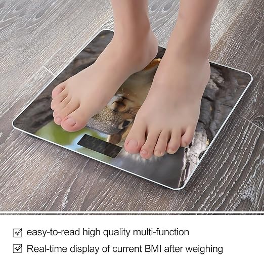 Squirrel in The Tree Bathroom Scale Rounded Smart Scale for Body Weight Automatic Power On/Off Weight Scales Accurate Bathroom Digital Scales for Pet Home Bedroom Kitchen