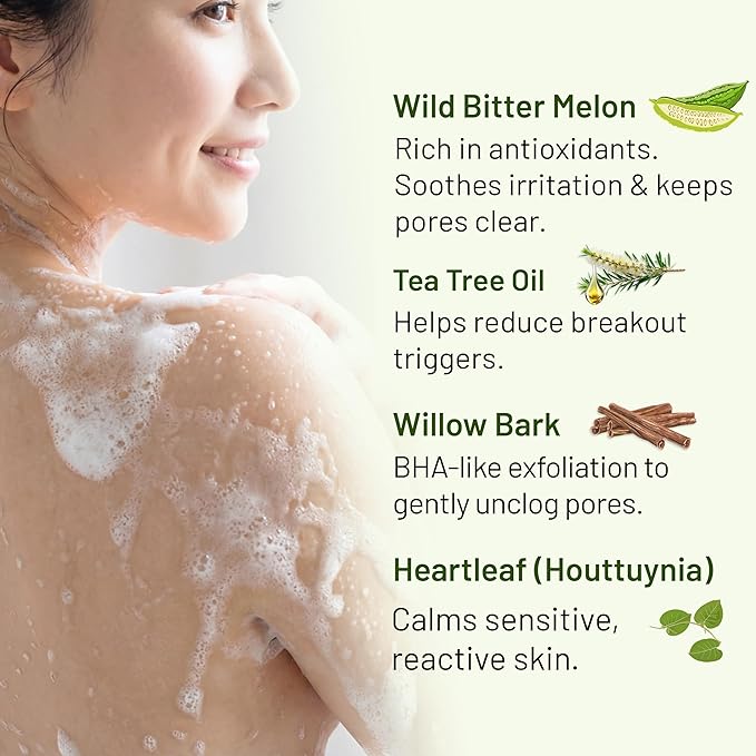 ABERA Folliculitis BHA Shower Gel High-Performance Folliculitis Body Wash Wild Bitter Melon Extract Reduces Back Acne &amp Hyperkeratosis 2 Boxes + Grapefruit Shampoo for Hair Loss