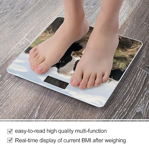 Cute Cows Digital Bathroom Scale for Body Weight Weighing Scale with Backlit LCD Display High Precision Measurements &amp Measures Weight Up to 180kg