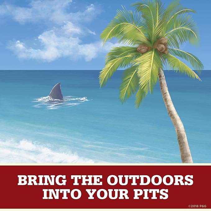 Old Spice Aluminum Free Deodorant for Men Fiji With Palm Tree Scent Inspired By Nature 3 Oz Pack Of 6