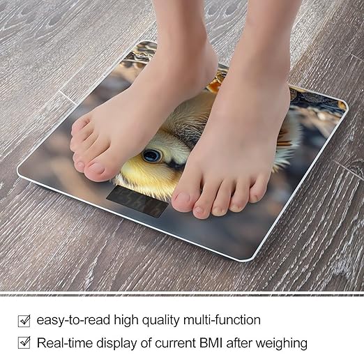 Chicken Chick Bathroom Scale Automatic Power On/Off Body Scales LCD Backlight Display Square Digital Scale Rounded Corners Bathroom Scales for Home Bedrooms