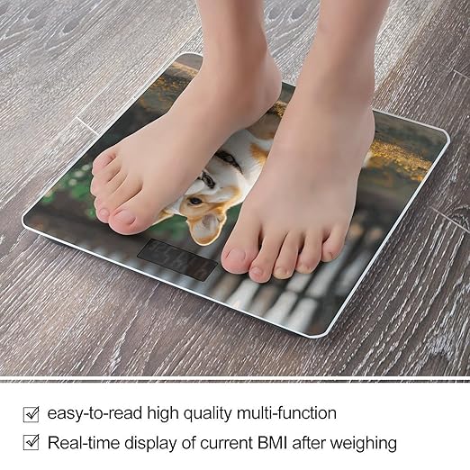 Dog Corgi Bathroom Scale Automatic Power On/Off Body Scales LCD Backlight Display Square Digital Scale Rounded Corners Bathroom Scales for Home Bedrooms