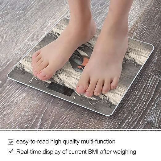 Barn Swallow in Graphite Scale for Body Weight Precision Bathroom Weighing Scales with Back Lit LCD Display Sturdy Tempered Glass Body Weight Scales Digital Bathroom Scale 400lb