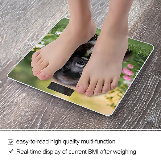 Cute Pet Newfoundland Dog Bathroom Scale Large LCD Backlight Display Digital Scale Rounded Corners Body Scales Automatic Power On/Off Bathroom Scales for Home Bedrooms
