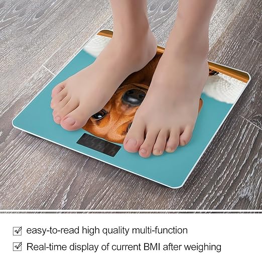 Dachshund Dog Scale for Body Weight Digital Bathroom Scale Toughened Glass High Precision Scales for Body Weight with Large LCD Backlight Display Weight Scales