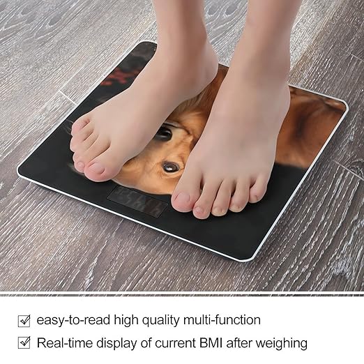 Long Haired Dachshund Digital Bathroom Scale for Body Weight with High Precision Digital Weighing Scale with BMI Clear LCD Display and Step-On Measures Weight Up to 180kg