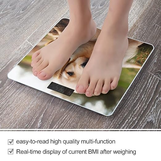 Cute Golden Retriever Puppy Bathroom Scale Large LCD Backlight Display Digital Scale Rounded Corners Body Scales Automatic Power On/Off Bathroom Scales for Home Bedrooms