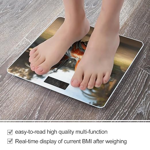 Proud Rooster Bathroom Scale Rounded Smart Scale for Body Weight Automatic Power On/Off Weight Scales Accurate Bathroom Digital Scales for Pet Home Bedroom Kitchen