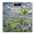Bluebonnets Scenery Bathroom Scale Automatic Power On/Off Body Scales LCD Backlight Display Square Digital Scale Rounded Corners Bathroom Scales for Home Bedrooms