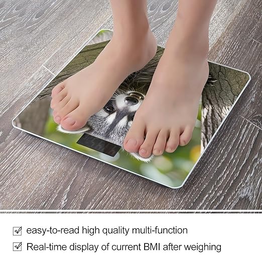 Raccoon Scale for Body Weight Highly Accurate Digital Bathroom Body Scale Digital Bathroom Scales for People Anti-Slip Large LCD Display Smart Scales