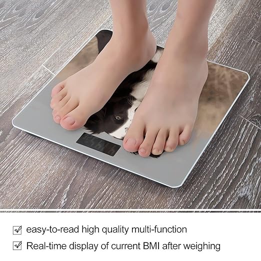 Border Collie Weight Scale Large Bathroom Scales Digital Weight with Bright LED Display Non Slip Automatic Weighing Scale Fashion Weighing Machine for Body