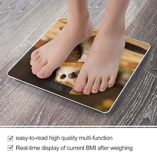 Checked Little Warm Owl Smart Scale for Body Weight Digital Bathroom Scale Toughened Glass Weight Scale with Large LCD Backlight Display High Precision Scales Weighing Machine