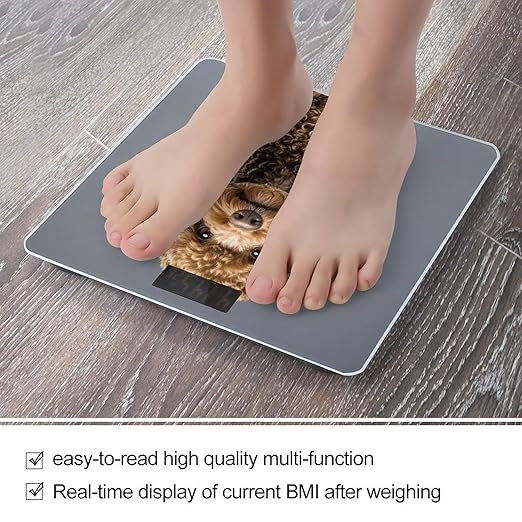 Brown Poodle Scale for Body Weight Digital Bathroom Scale Toughened Glass High Precision Scales for Body Weight with Large LCD Backlight Display Weight Scales