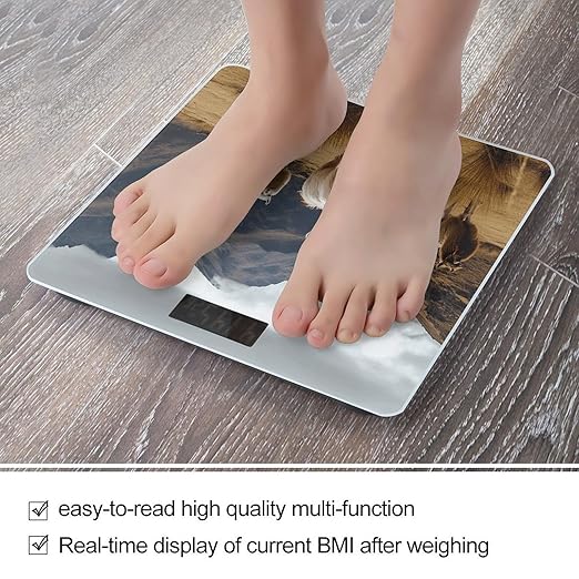 Llamas in The Andes Bathroom Scale Automatic Power On/Off Body Scales LCD Backlight Display Square Digital Scale Rounded Corners Bathroom Scales for Home Bedrooms