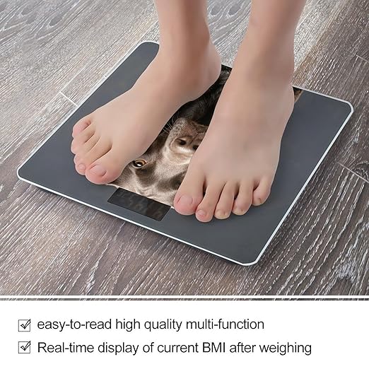 Dalmatian Scale for Body Weight Digital Bathroom Scale Toughened Glass High Precision Scales for Body Weight with Large LCD Backlight Display Weight Scales