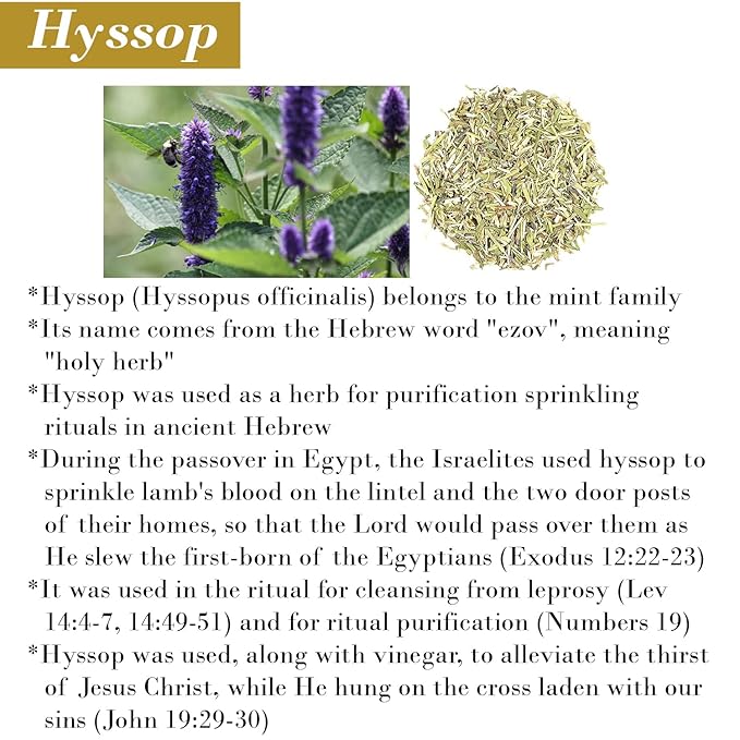 Cleanse Me With Hyssop Natural Hair and Body Wash Organic Hyssop Infused Shampoo and Body Wash for Nourishing and Refreshing Hair &amp Body Cleansing