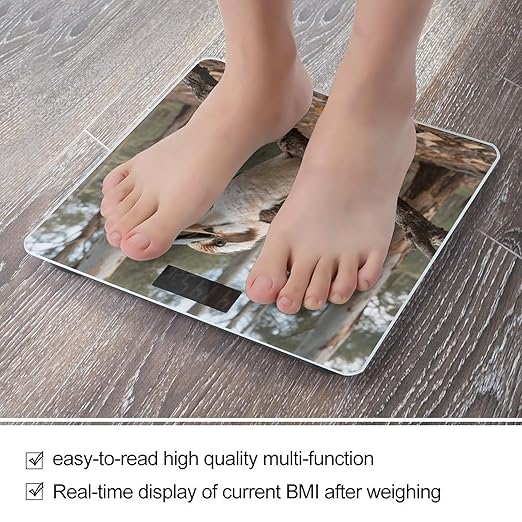 Gray Bird Bathroom Scale for Body Weight LCD Display Digital Bathroom Scale Tempered Glass Bathroom Weight Scales Fashion Smart Scales for Home Bedroom 400 Lb