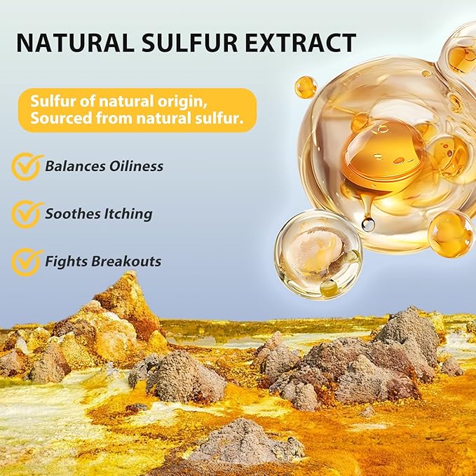 Bee &amp Flower Sulfur Soap Liquid Shampoo &amp Body Wash - Daily Head to Toe Skin Care Product for Men and Women - 16.8 Fl Oz - Pack of 2