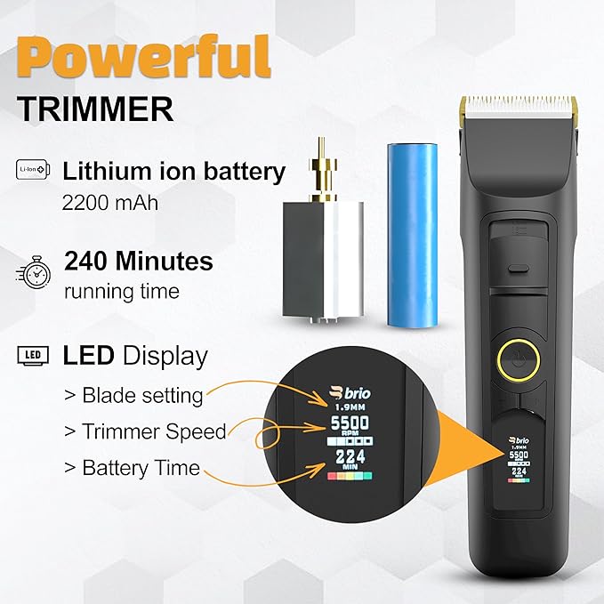 Brio Beardscape V2 Beard Trimmer for Men Professional with Low Friction Ceramic Blade Cordless Professional Hair Trimmer for Barbers with 4 Hrs of Long Battery Timing Ideal for Beard &amp Body (Bla