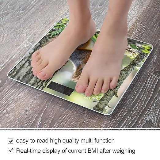 Squirrel in The Woods Scale for Body Weight Highly Accurate Digital Bathroom Body Scale Digital Bathroom Scales for People Anti-Slip Large LCD Display Smart Scales