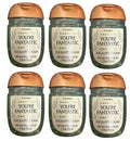 Bath and Body Works Classic and Seasonal Scents Pocketbac Gel Sanitizers - Pack of 6-1 oz each (Eucalyptus Rain)