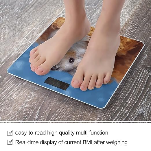 Digital Bathroom Scale for Body Weight Scale with Bright LCD Display High Accuracy Step-On Technology Auto On/Off Hamster Digital Scales 400 Lbs /180kg