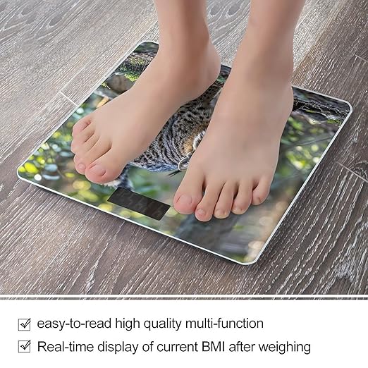 Wild Bobcat Bathroom Scale for Body Weight Bathroom Weighing Scales with Back Lit LED Display Sturdy Tempered Glass Body Weight Bathroom Scale 400lb Weighing