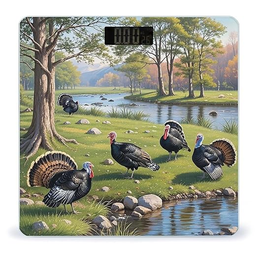 Spring Walk Scale for Body Weight Smart Scales Digital Bathroom Scale High Precision Weighing Scales with Large Display Weighing Machine for People