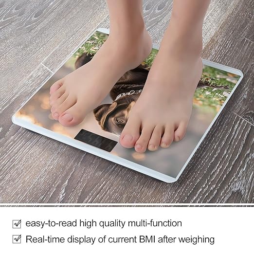 Brown Labrador Retriever Scale for Body Weight Highly Accurate Digital Bathroom Scale Sturdy Tempered Glass Weighing Scales with LCD Display Fashion Body Fat Smart Scales 400lb