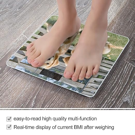 Digital Bathroom Scale for Body Weight Scale with Bright LCD Display High Accuracy Step-On Technology Auto On/Off Golden Retriever Dogs Puppies Pets Digital Scales 400 Lbs /180kg