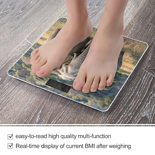Wild Animals Elephants Scale for Body Weight Highly Accurate Digital Bathroom Body Scale Digital Bathroom Scales for People Anti-Slip Large LCD Display Smart Scales