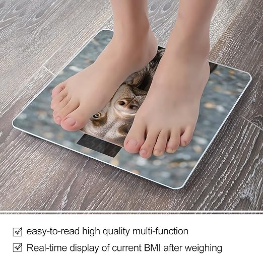 Brown Labrador Retriever Scale for Body Weight Accurate Digital Bathroom Scale Toughened Glass High Precision Scales Smart Weight Scales with Large LCD Backlight Display Weighing Machine