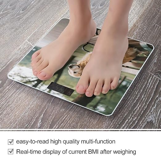 Dog Resting on Bench Weight Scale Cute Bathroom Scale for Body Highly Accurate Digital Weighing Machine for People Compact LCD Display Scales with Sturdy Toughened Glass Scales