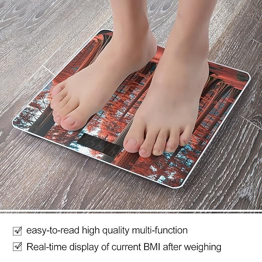 Muir Woods Scale for Body Weight Smart Scales Digital Bathroom Scale High Precision Weighing Scales with Large Display Weighing Machine for People