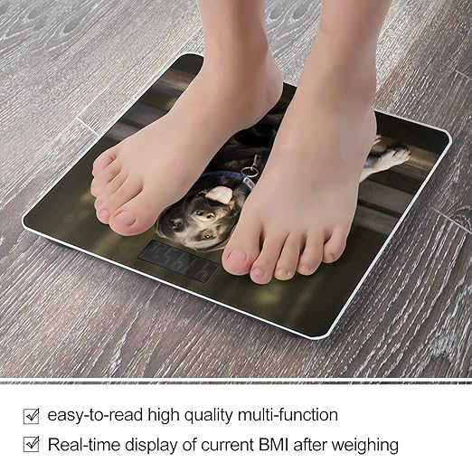 Labrador Bathroom Scale Automatic Power On/Off Body Scales LCD Backlight Display Square Digital Scale Rounded Corners Bathroom Scales for Home Bedrooms