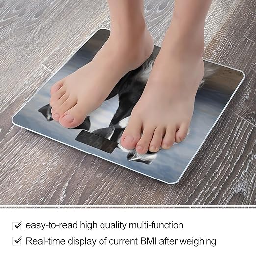 Animal Schnauzer Dog Scale for Body Weight Safe Rounded Corners Tempered Glass Digital Bathroom Scale LED Display 400lb Capacity Weight Scales with High Precision Sensors
