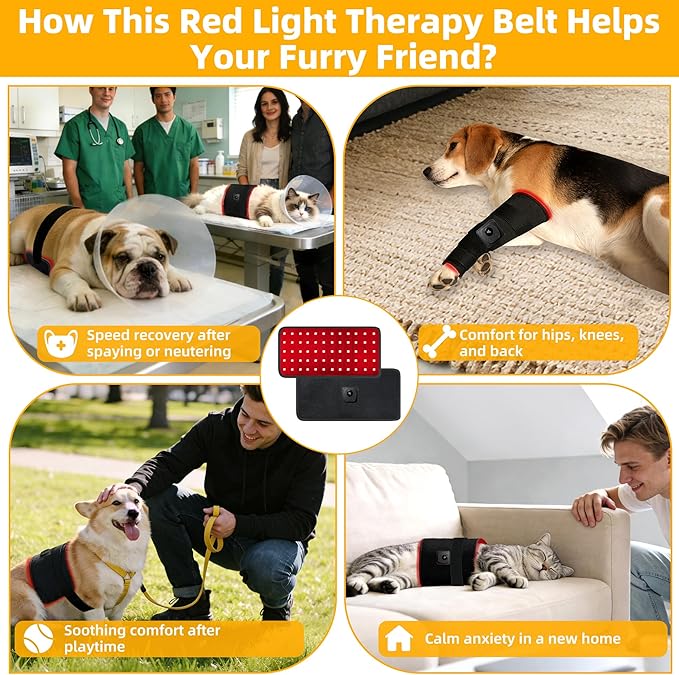 Pets Upgraded Red Light Therapy Belt LED Infrared Therapy with 4 Modes &amp 4 Adjustable Timer 60 LEDs 660nm &amp 850nm Red Light LED Screen Pet Muscle Recovery Light for Joint Relief