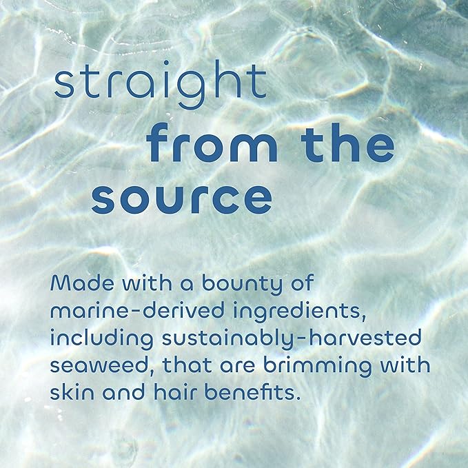Seaweed Bath Co. Body Wash and Body Cream Duo 12 Ounce 6 Ounce Eucalyptus Peppermint Scent Sustainably Harvested Seaweed