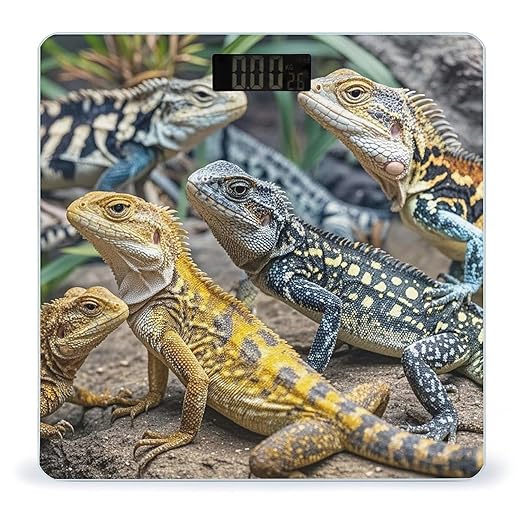 Different Types of Lizard Scale for Body Weight Highly Accurate Digital Bathroom Body Scale Digital Bathroom Scales for People Anti-Slip Large LCD Display Smart Scales
