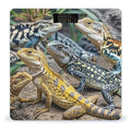 Different Types of Lizard Scale for Body Weight Highly Accurate Digital Bathroom Body Scale Digital Bathroom Scales for People Anti-Slip Large LCD Display Smart Scales