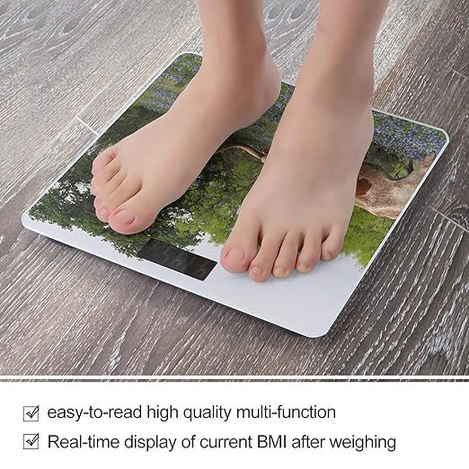 Longhorn Steer and Bluebonnets Scale for Body Weight Digital Bathroom Scale Precision Smart Weighing Scales with Clear LED Display Accurate High Precision Scales Weighing Machine