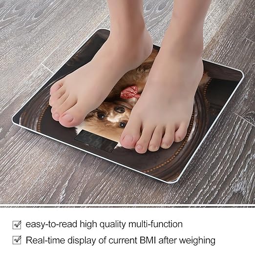 Poodle Scale for Body Weight Anti-Slip Tempered Glass Digital Bathroom Scales Clear LCD Display Weighing Scale Safe Rounded Corners Smart Scales