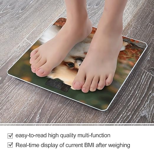Short-haired Pomeranian Dog Bathroom Scale Large LCD Backlight Display Digital Scale Rounded Corners Body Scales Automatic Power On/Off Bathroom Scales for Home Bedrooms
