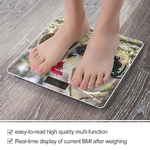 Rooster and Hen Bathroom Scale for Body Weight with High Precision Large LCD Backlight Display Digital Weighing Scale with BMI Capacity Up to 180kg